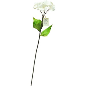 Sola Flower Stem ソラフラワーステム Hydrangea ハイドレンジア
