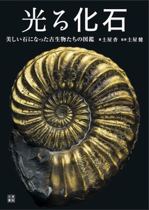 光る化石 ~美しい石になった古生物たちの図鑑