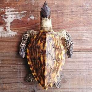 装饰品 系列 海龟