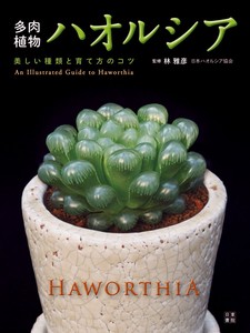 多肉植物ハオルシア 美しい種類と育て方のコツ