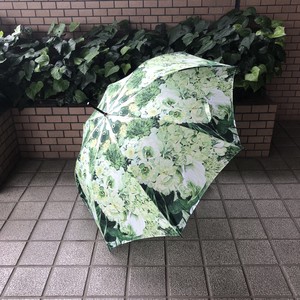 雨伞 混装组合