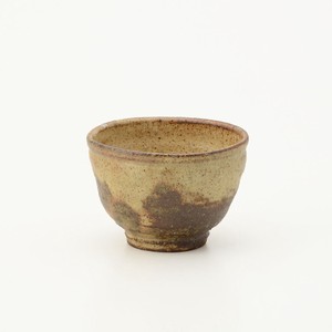 SHIGARAKI Ware Kiln Change Japanese Tea Cup