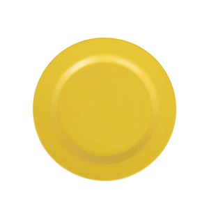 大餐盘/中餐盘 dulton 黄色