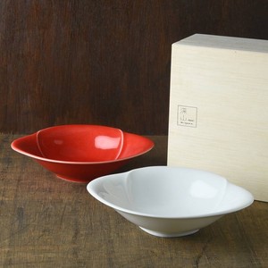 Mino ware Main Dish Bowl Gift Set Miyama Assortment Made in Japan