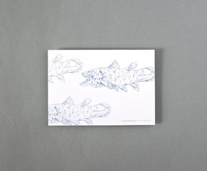深海生物のポストカード（シーラカンス）