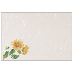 Placemat Sunflower Set of 100 26 x 38cm