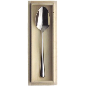 Tsubamesanjo Spoon