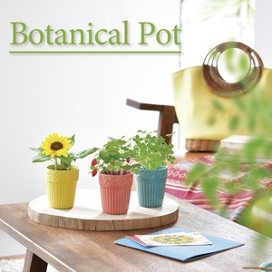Botanical Pot ボタニカルポット GD-904　栽培キット
