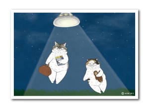 世にも不思議な猫世界 L版絹目生写真 いざ宇宙へ RAW011 KORIRI グッズ 猫 イラスト 【新商品】