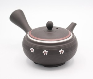 Tokoname ware Japanese Teapot M Tea Pot Made in Japan