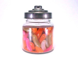 Storage Jar/Bag 600ML