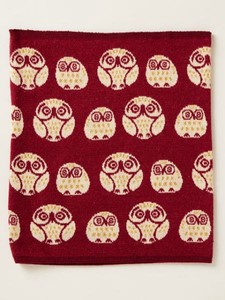 Owl Belly Band Size M