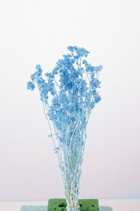 大地農園　EARTH　MATTERS　クリスパム　ウォーターブルー