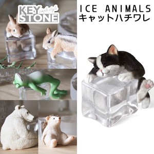 ICE ANIMALS　キャットハチワレ