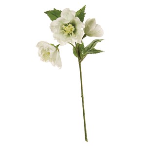 【セール品】MAGIQ　フリルクリスマスローズ　ホワイトグリーン　　造花