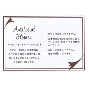 【セール品】アーティフィシャルカード　包装資材　説明カード