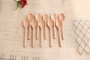 Spoon Natural 10-pcs set