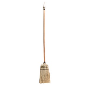 Poth Living Broom