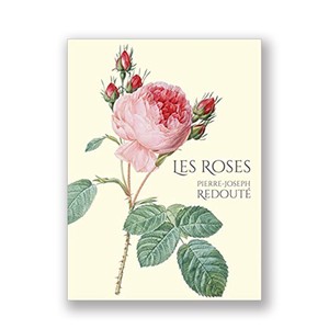 Les Roses　バラ図譜