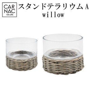 ■カルナック　SALE■　スタンドテラリウムA　willow