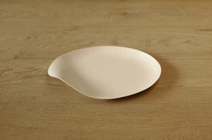 Collection Plate Plate disposable Front Eco Plate