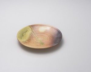信乐烧 大餐盘/中餐盘 陶器 日本制造