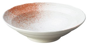 Main Dish Bowl Porcelain Pink Made in Japan