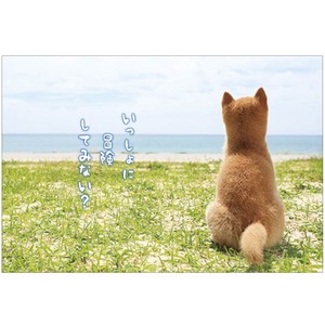 Postcard Shiba Dog Summer