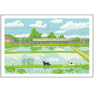 たびねこポストカード【夏】 PF-239s