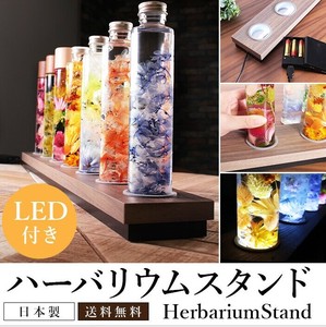 ハーバリウムスタンド　ホールドタイプ　LED70CM　化粧PB