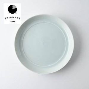 Mino ware Main Plate Trip Western Tableware Made in Japan