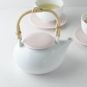 Mino ware Japanese Teapot Earthenware Miyama Made in Japan