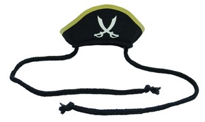 海賊帽船長