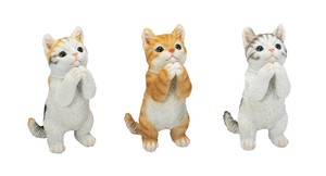 お願いキャットSS