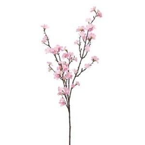 A−33837　桜×72 #003 ﾋﾟﾝｸ