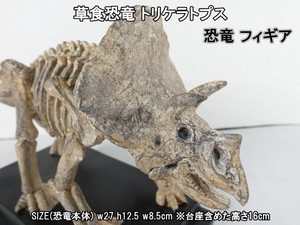 Object/Ornament Triceratops 6-pcs