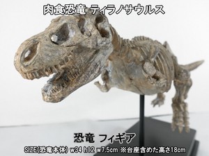 Object/Ornament Tyrannosaurus 6-pcs