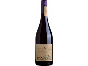 [Sake (Alcohol)] Cono Sur Organic Pinot Noir