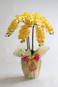 人造植物/人造花装饰 黄色 尺寸 XL