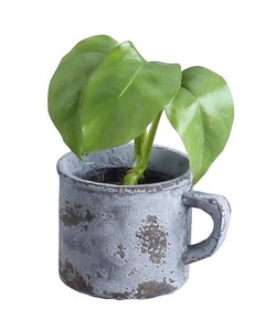 Pot/Planter M