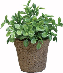 Artificial Plant Mini