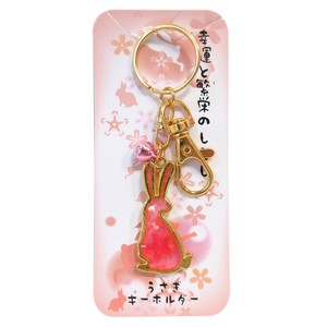 Key Ring Key Chain Pink Knickknacks