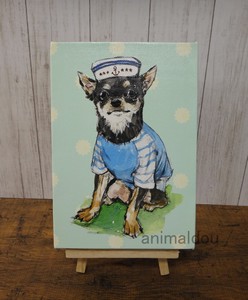Poster Canvas Chihuahua