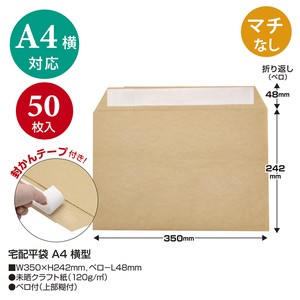 Delivery Bag/Envelope