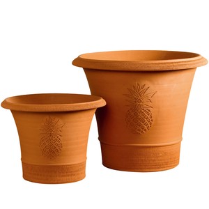 ウィッチフォード社製　テラコッタ植木鉢《パイナップルポット》即納可能　在庫僅少