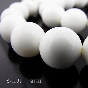 Gemstone Shell 12mm