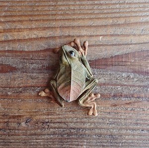 ornament / frog