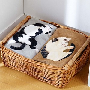 【K】猫が寝ているバスタオル