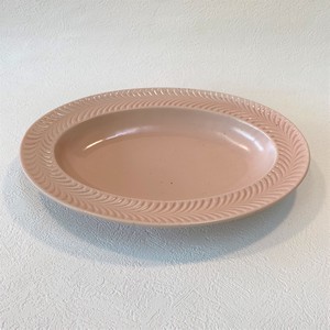 Oval Rosemary Salmon Pink Made in Japan HASAMI Ware Leaf Mat Cafe
