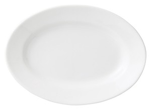 Main Plate Porcelain 23cm